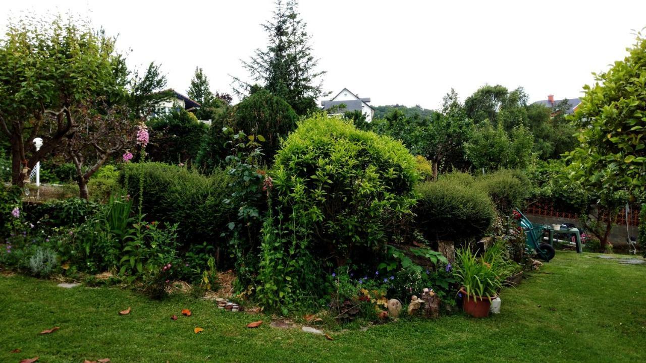 Hillside View Apartment เปลนท์เซีย ภายนอก รูปภาพ